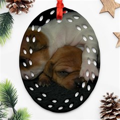 Adorable Baby Puppies Ornament (oval Filigree) 