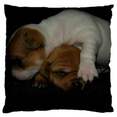 Adorable Baby Puppies Large Cushion Cases (two Sides)  by trendistuff