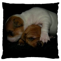 Adorable Baby Puppies Large Flano Cushion Cases (two Sides) 