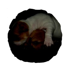 Adorable Baby Puppies Standard 15  Premium Flano Round Cushions