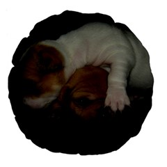 Adorable Baby Puppies Large 18  Premium Flano Round Cushions