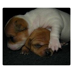 Adorable Baby Puppies Double Sided Flano Blanket (small) 