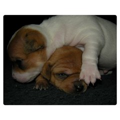 Adorable Baby Puppies Double Sided Flano Blanket (medium) 