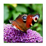 PEACOCK BUTTERFLY Tile Coasters