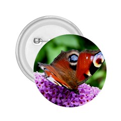 Peacock Butterfly 2 25  Buttons by trendistuff