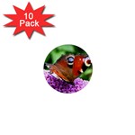 PEACOCK BUTTERFLY 1  Mini Buttons (10 pack) 