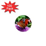 PEACOCK BUTTERFLY 1  Mini Buttons (100 pack) 