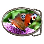 PEACOCK BUTTERFLY Belt Buckles