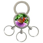 PEACOCK BUTTERFLY 3-Ring Key Chains