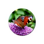 PEACOCK BUTTERFLY Rubber Round Coaster (4 pack) 