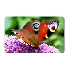 Peacock Butterfly Magnet (rectangular) by trendistuff