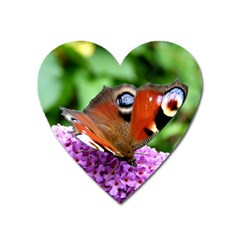 Peacock Butterfly Heart Magnet by trendistuff