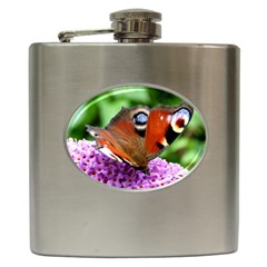 Peacock Butterfly Hip Flask (6 Oz) by trendistuff