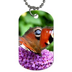 Peacock Butterfly Dog Tag (two Sides) by trendistuff