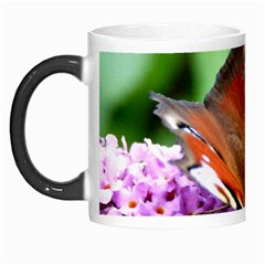 Peacock Butterfly Morph Mugs by trendistuff