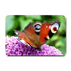 Peacock Butterfly Small Doormat  by trendistuff