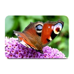 Peacock Butterfly Plate Mats