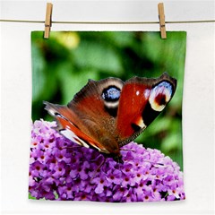 Peacock Butterfly Face Towel by trendistuff