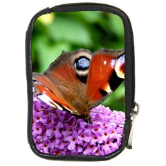 Peacock Butterfly Compact Camera Cases by trendistuff