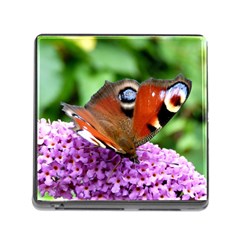 Peacock Butterfly Memory Card Reader (square) by trendistuff