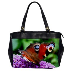 Peacock Butterfly Office Handbags by trendistuff