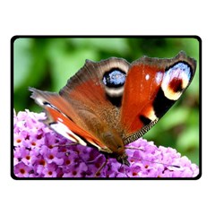 Peacock Butterfly Fleece Blanket (small) by trendistuff