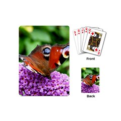 Peacock Butterfly Playing Cards (mini)  by trendistuff