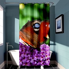 Peacock Butterfly Shower Curtain 36  X 72  (stall) 