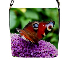 Peacock Butterfly Flap Messenger Bag (l)  by trendistuff