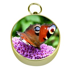 Peacock Butterfly Gold Compasses by trendistuff