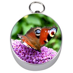 Peacock Butterfly Silver Compasses by trendistuff