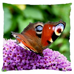 Peacock Butterfly Standard Flano Cushion Cases (two Sides) 