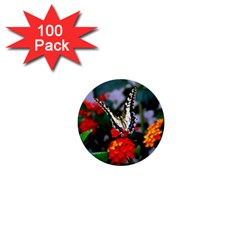 Butterfly Flowers 1 1  Mini Buttons (100 Pack)  by trendistuff