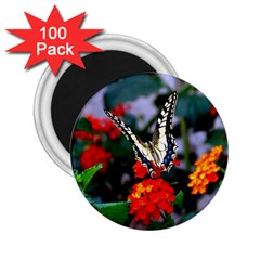 Butterfly Flowers 1 2 25  Magnets (100 Pack)  by trendistuff