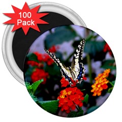 Butterfly Flowers 1 3  Magnets (100 Pack) by trendistuff