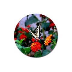 Butterfly Flowers 1 Magnet 3  (round) by trendistuff