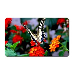 Butterfly Flowers 1 Magnet (rectangular) by trendistuff