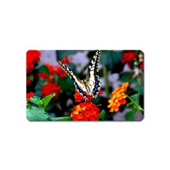 Butterfly Flowers 1 Magnet (name Card) by trendistuff