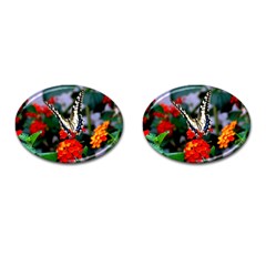 Butterfly Flowers 1 Cufflinks (oval) by trendistuff