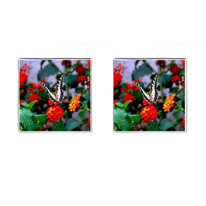 BUTTERFLY FLOWERS 1 Cufflinks (Square)