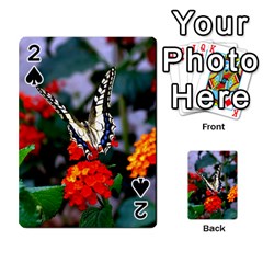 Butterfly Flowers 1 Playing Cards 54 Designs  by trendistuff