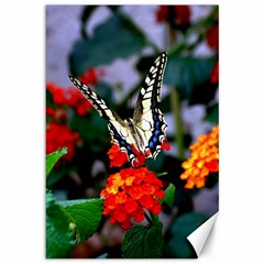 Butterfly Flowers 1 Canvas 12  X 18   by trendistuff