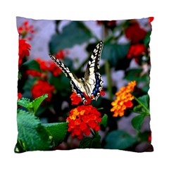 Butterfly Flowers 1 Standard Cushion Case (one Side)  by trendistuff