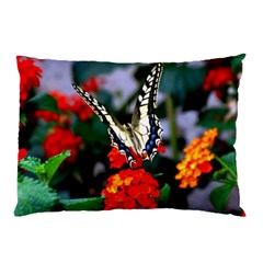 Butterfly Flowers 1 Pillow Cases by trendistuff