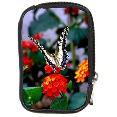 Butterfly Flowers 1 Compact Camera Cases by trendistuff