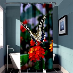 Butterfly Flowers 1 Shower Curtain 36  X 72  (stall) 