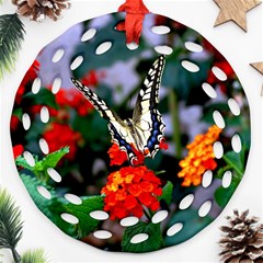 Butterfly Flowers 1 Ornament (round Filigree) 