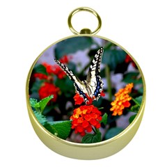 Butterfly Flowers 1 Gold Compasses by trendistuff