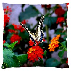 Butterfly Flowers 1 Large Flano Cushion Cases (two Sides) 