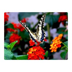 Butterfly Flowers 1 Double Sided Flano Blanket (mini) 